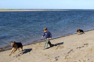 A walk along the beach at SeaScape Cottages Nova Scotia